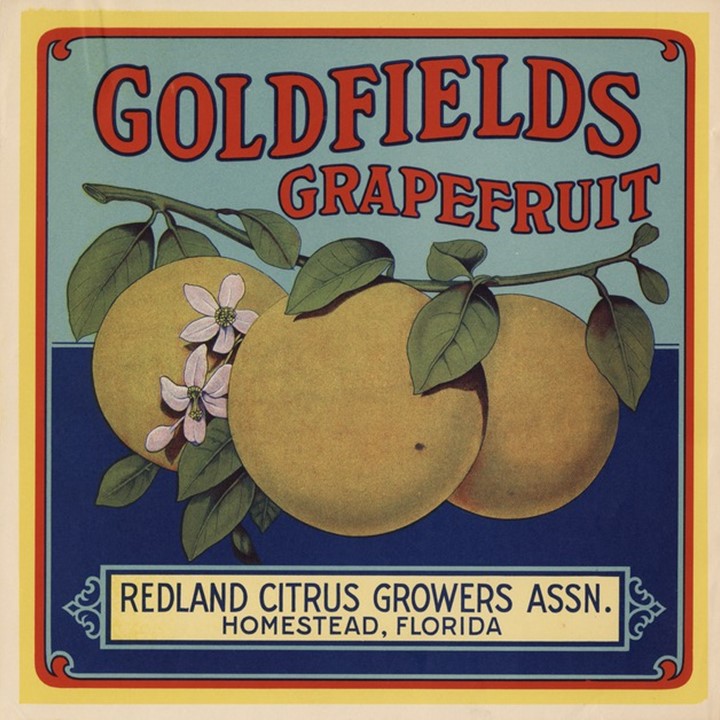 Goldfields Goldfields