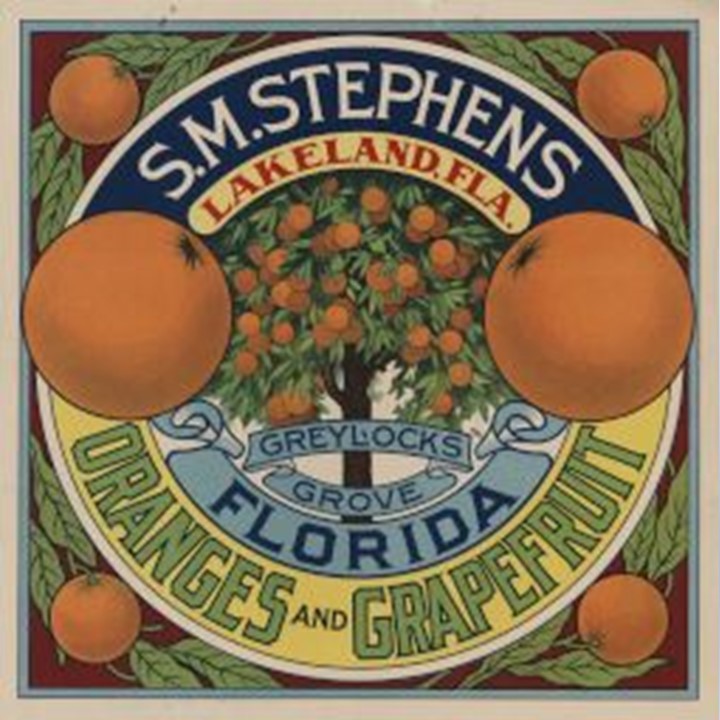 Greylocks Grove Greylocks Grove