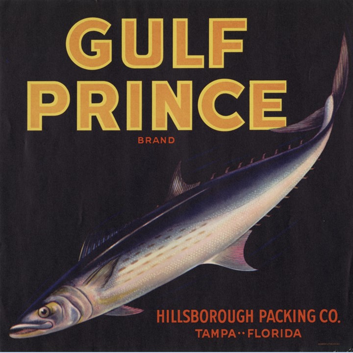 Gulf Prince Gulf Prince