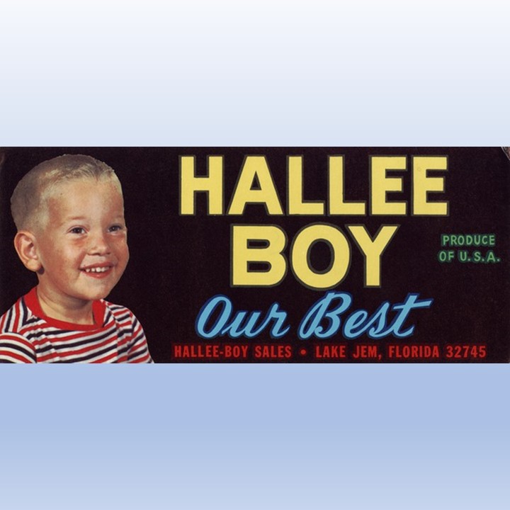 Hallee Boy Hallee Boy