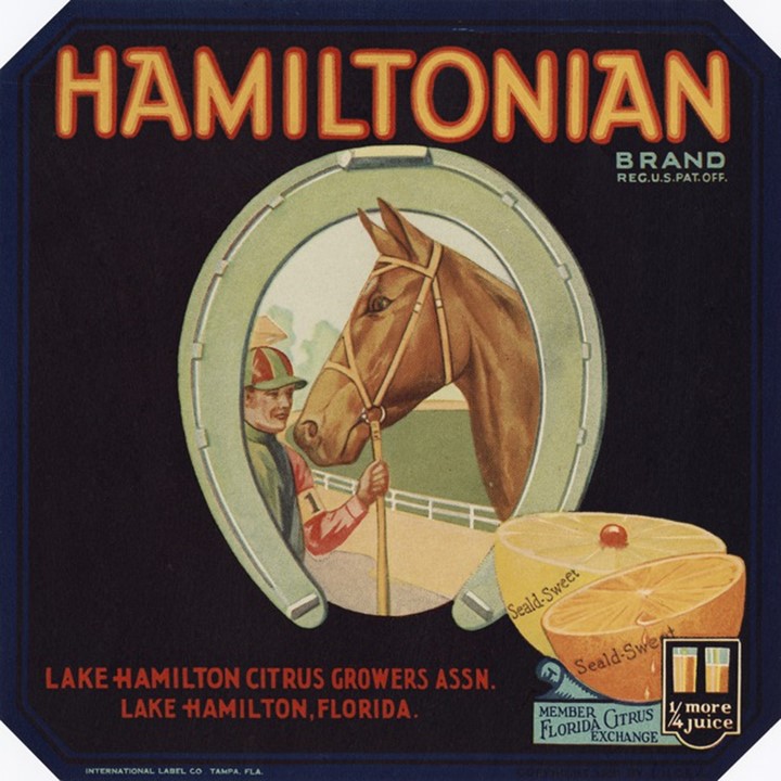 Hamiltonian Hamiltonian