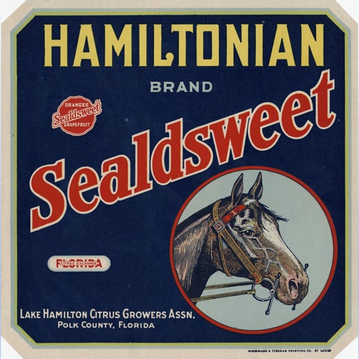 Hamiltonian2 Hamiltonian2