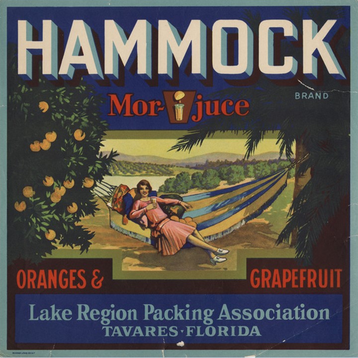 Hammock Hammock