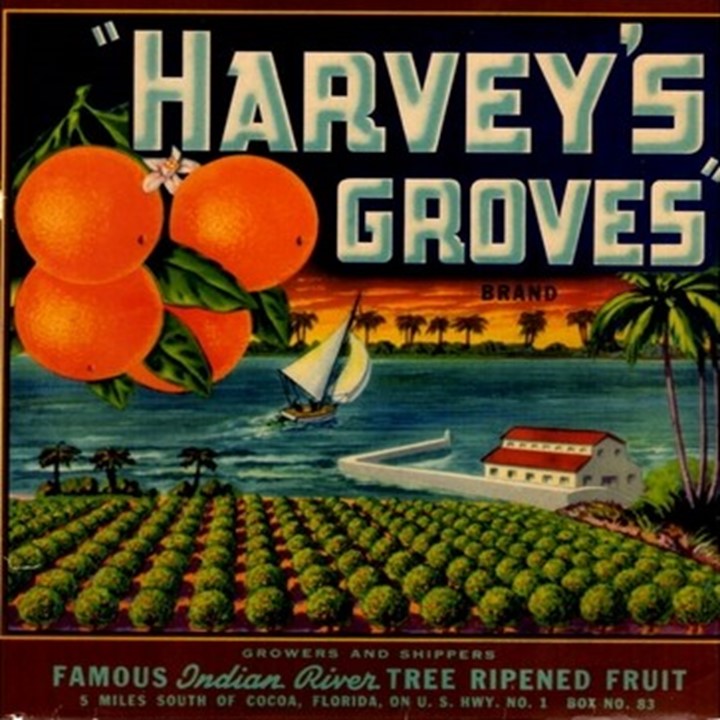 Harveys Groves Harveys Groves