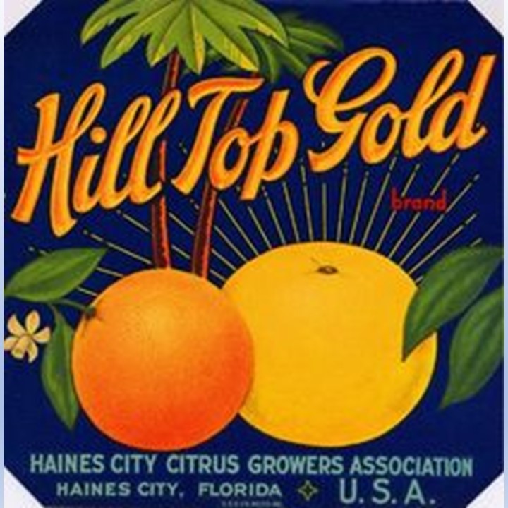 Hilltop Gold Hilltop Gold