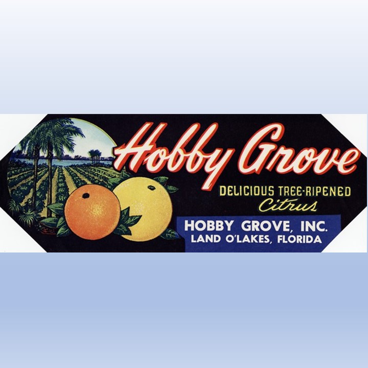 Hobby Grove Hobby Grove