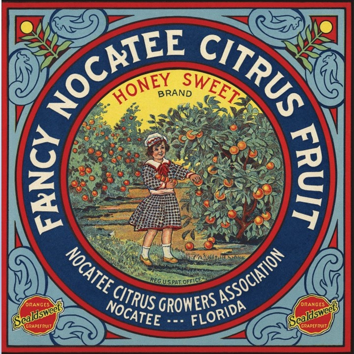 Honey Sweet Honey Sweet