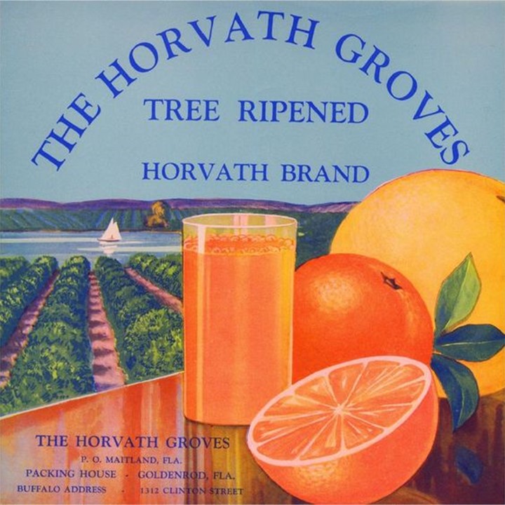 Horvath Groves Horvath Groves