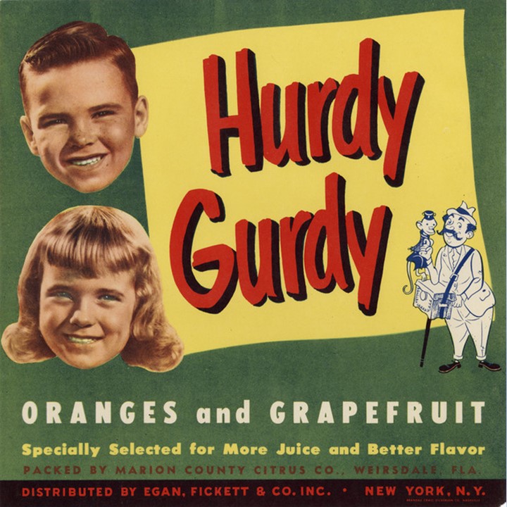 Hurdy Gurdy2 Hurdy Gurdy2