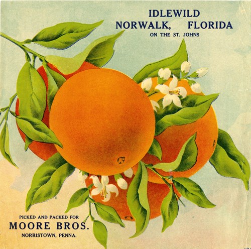 Idlewild Idlewild