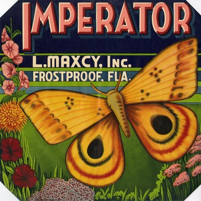 Imperator2 Imperator2