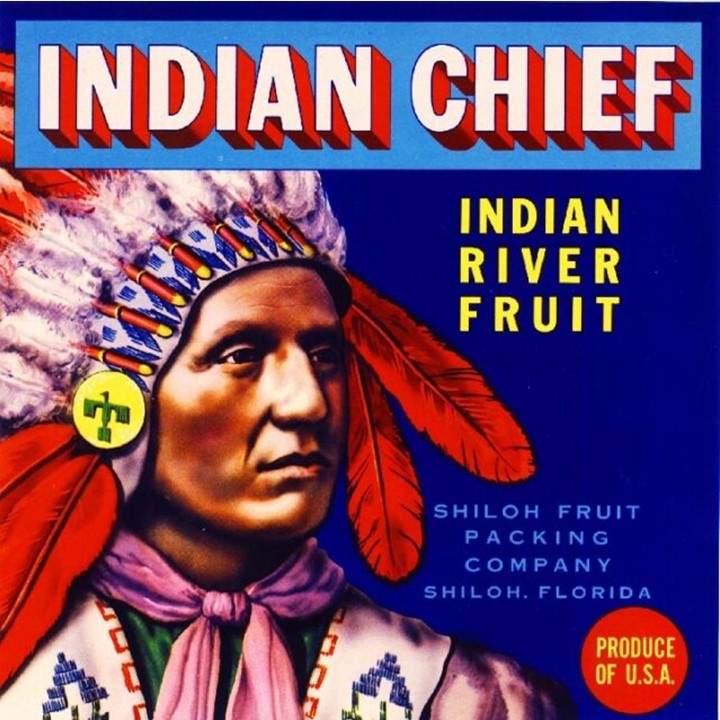 Indian Chief