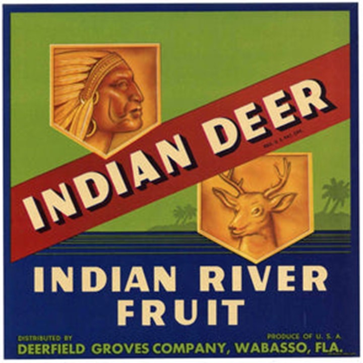 Indian Deer