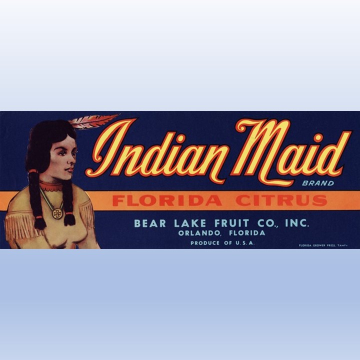 Indian Maid