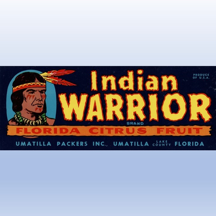 Indian Warrior