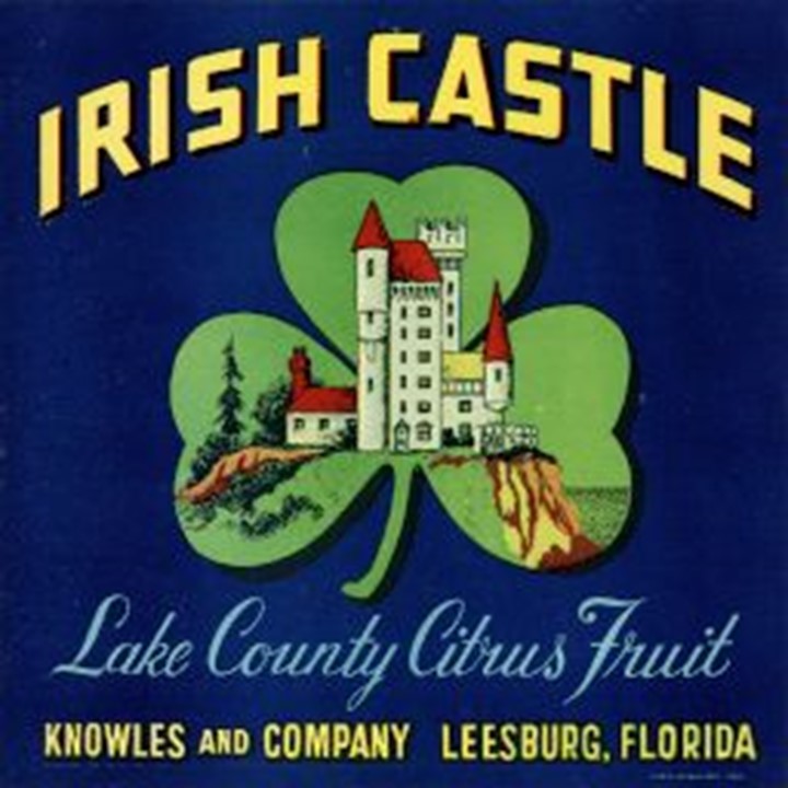 Irish Castle