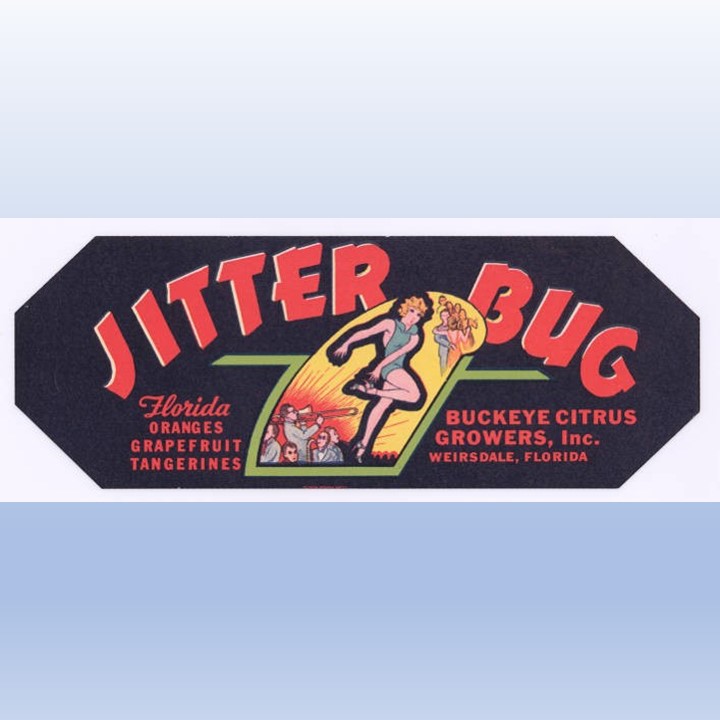 Jitterbug Jitterbug