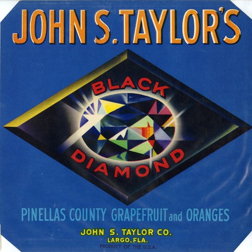 John S Taylor