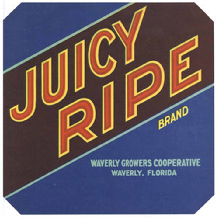 Juicy Ripe Juicy Ripe