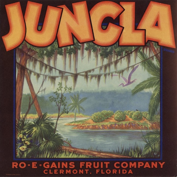 Jungla Jungla