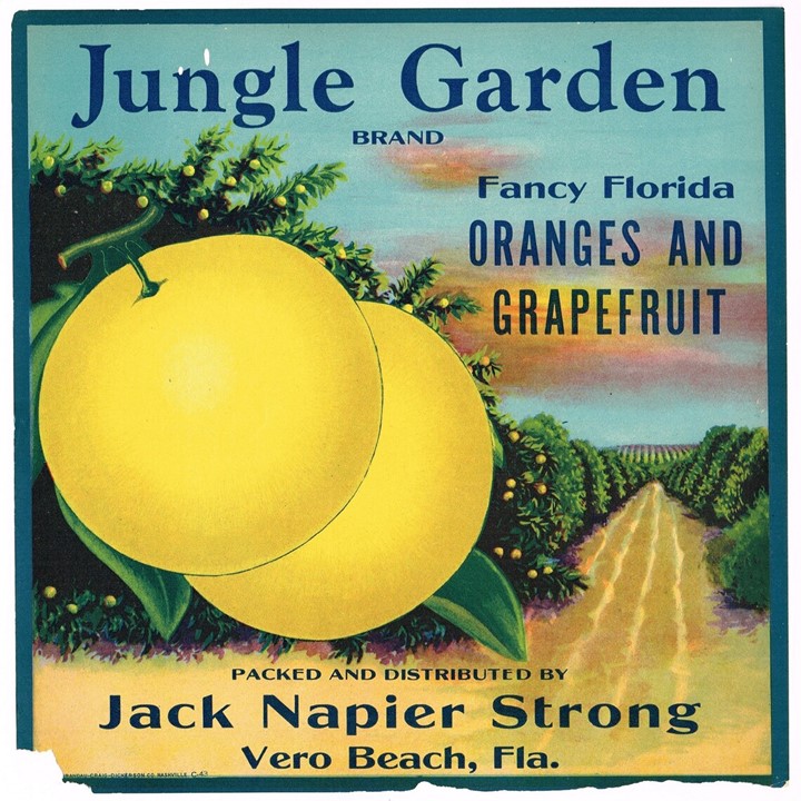 Jungle Garden Jungle Garden