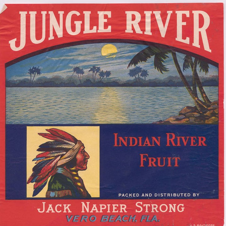 Jungle River Jungle River