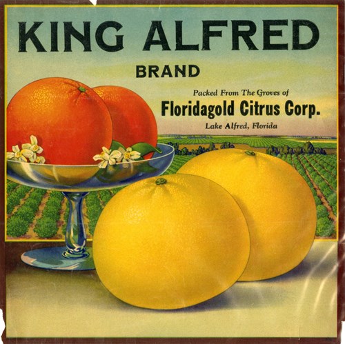 King Alfred King Alfred