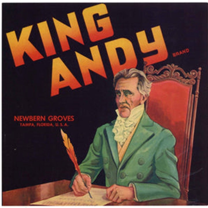King Andy King Andy