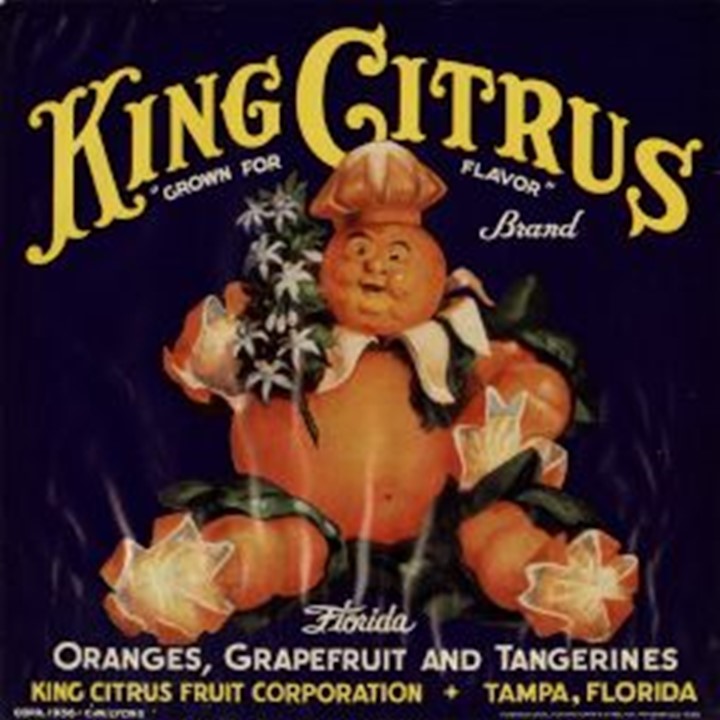 King Citrus King Citrus