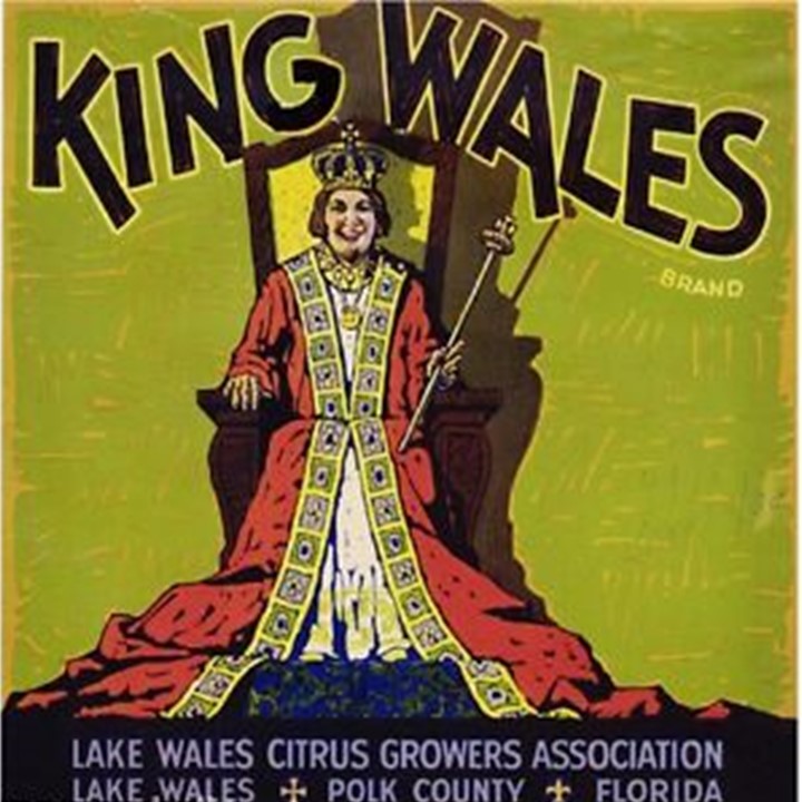 King Wales King Wales