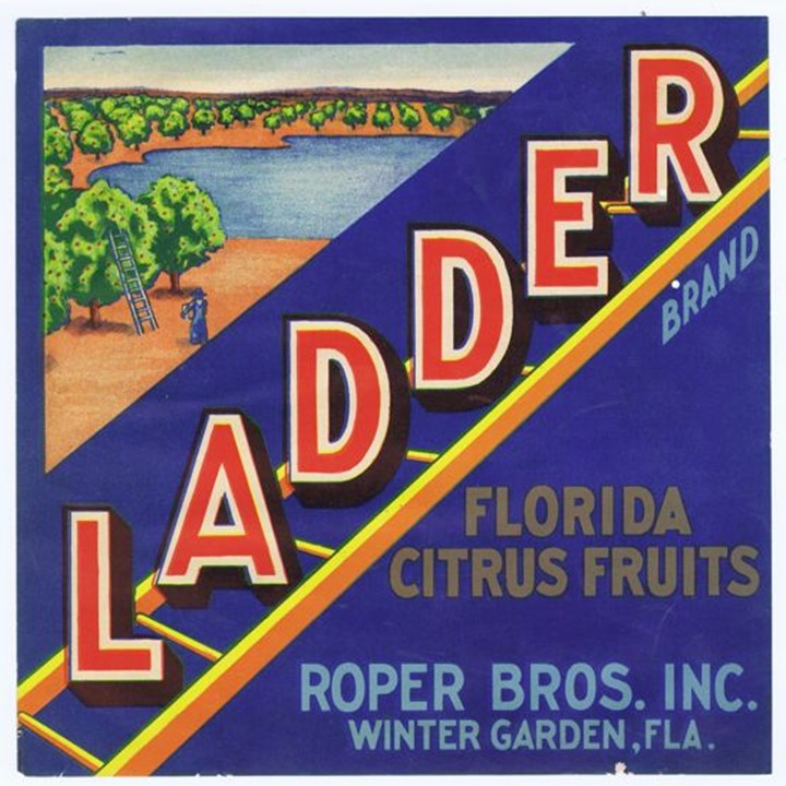 Ladder