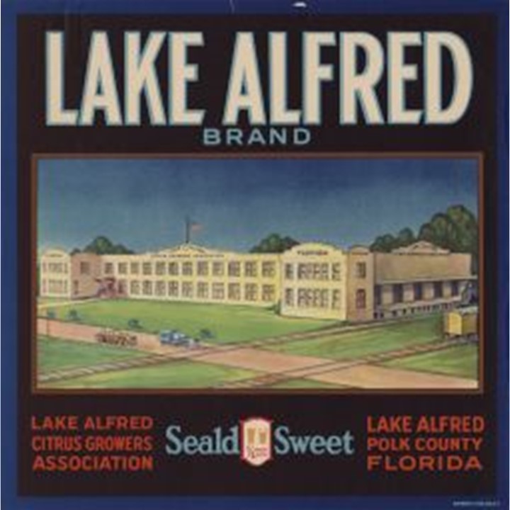 Lake Alfred