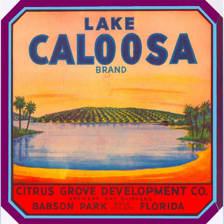 Lake Caloosa