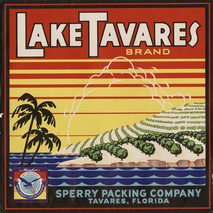 Lake Tavares
