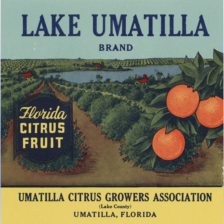 Lake Umatilla