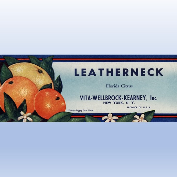 Leatherneck2
