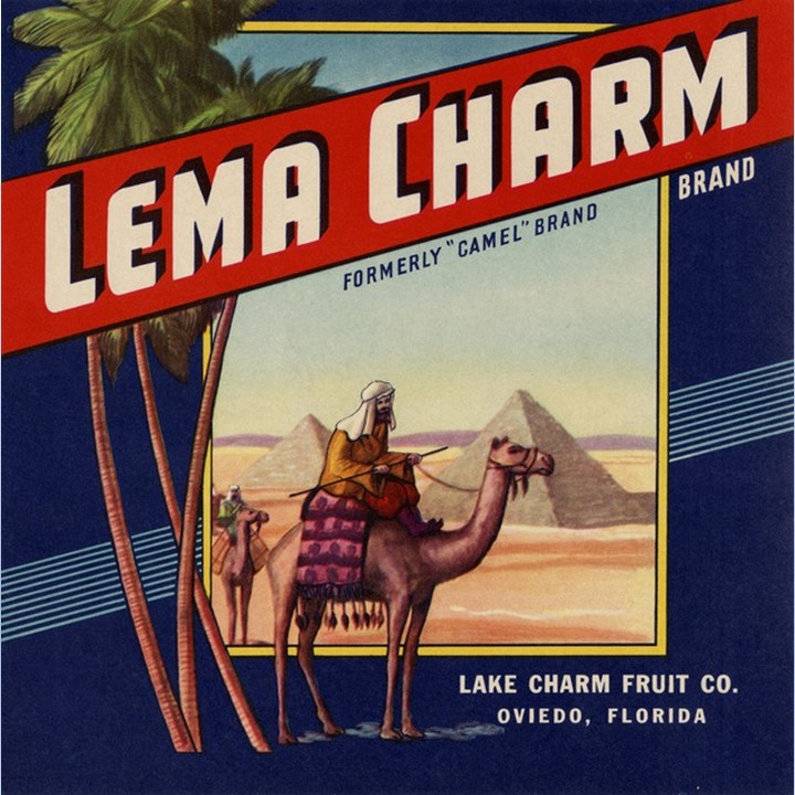 Lema Charm