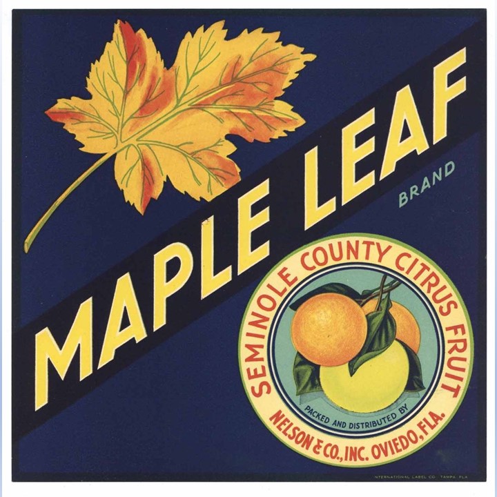 Maple Leaf Maple Leaf