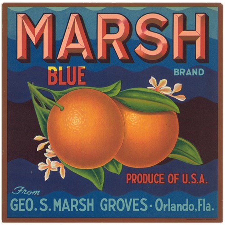 Marsh Marsh