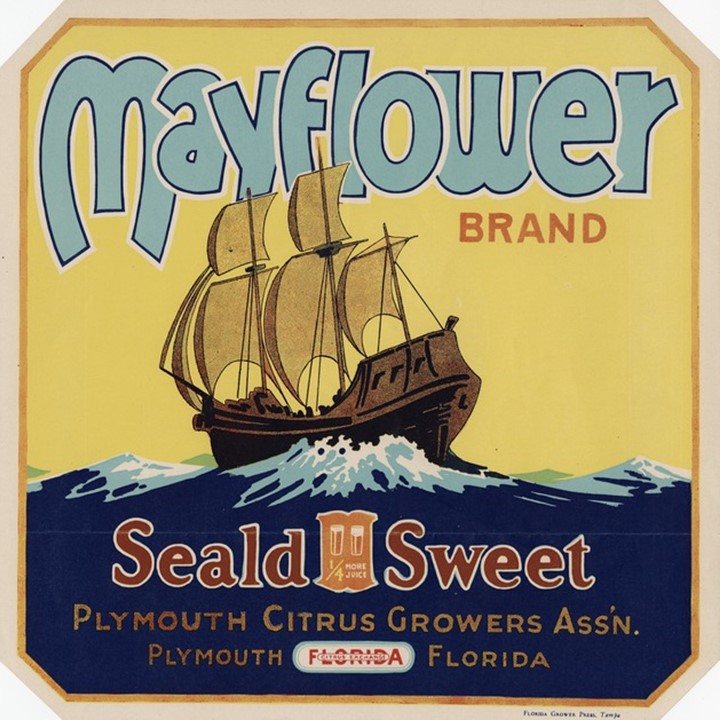 Mayflower Mayflower