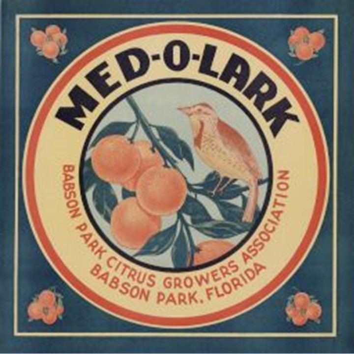 Medolark Medolark