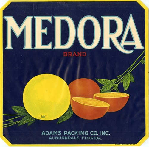 Medora Medora