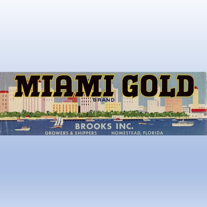 Miami Gold Miami Gold
