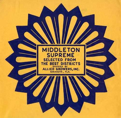 Middleton Supreme Middleton Supreme