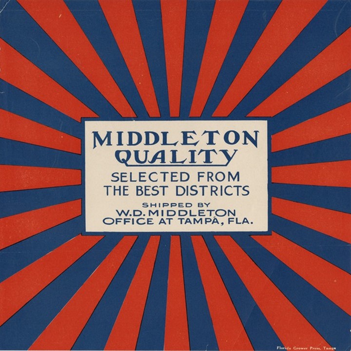 Middleton Quality Middleton Quality