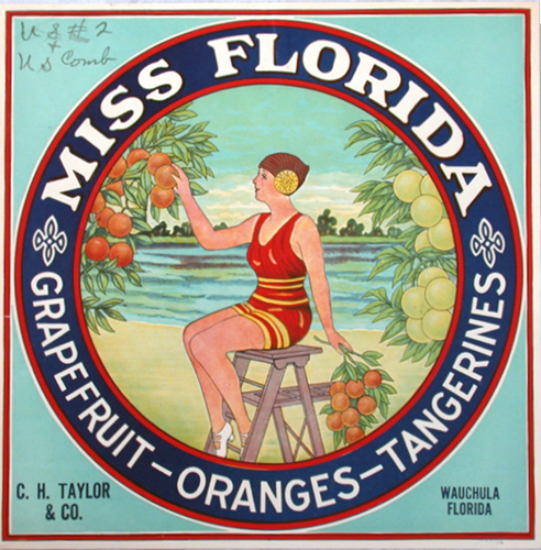 Miss Florida Miss Florida