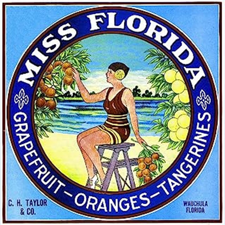 Miss Florida Miss Florida