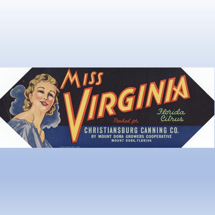 Miss Virginia Miss Virginia