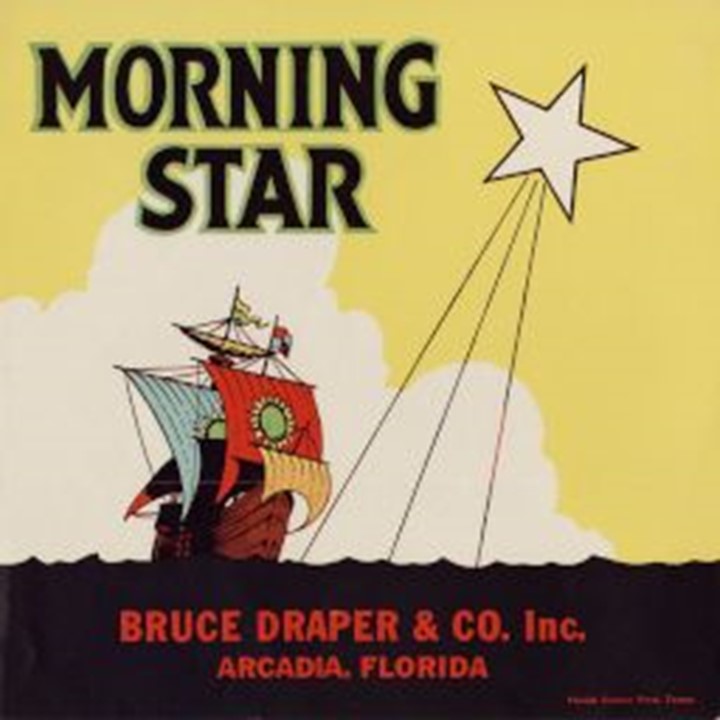 Morningstar Morningstar