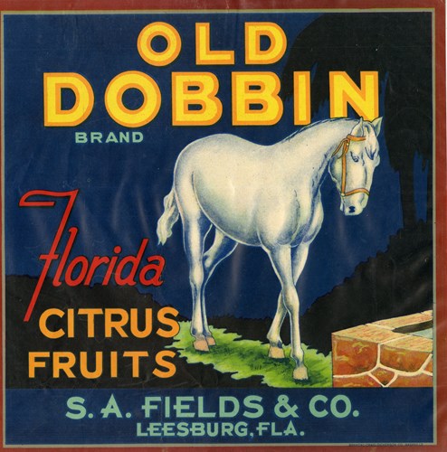 Old Dobbin 2